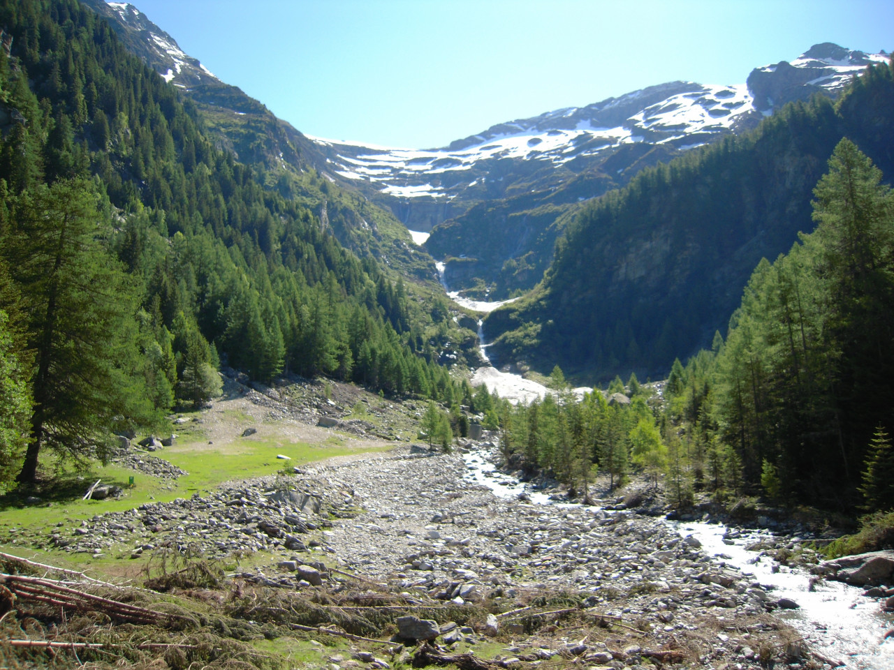 Panorama sulle valli di Cresciano-Osogna: in Ticino la superficie boschiva ricopre quasi il 50% del territorio.
