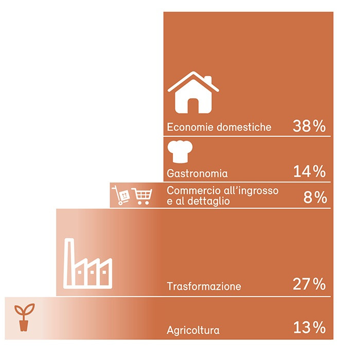 Impatto ambientale delle perdite alimentari evitabili: quanto inquina ogni fase della catena alimentare? (UFAM).